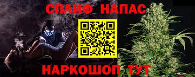 дживик Дубна