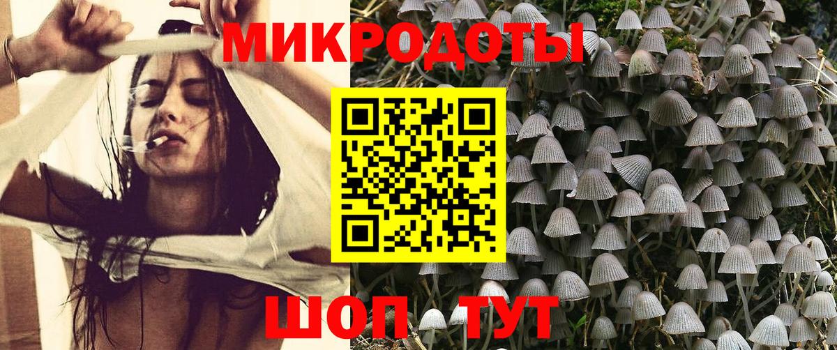 Галлюциногенные грибы GOLDEN TEACHER  Вход с VPN  Кинель 